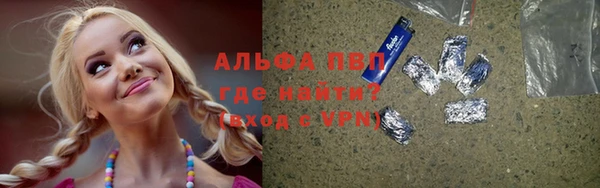 индика Белоозёрский