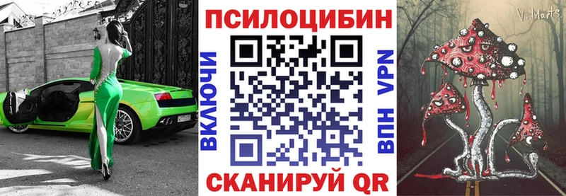 Галлюциногенные грибы Psilocybine cubensis  Семикаракорск 